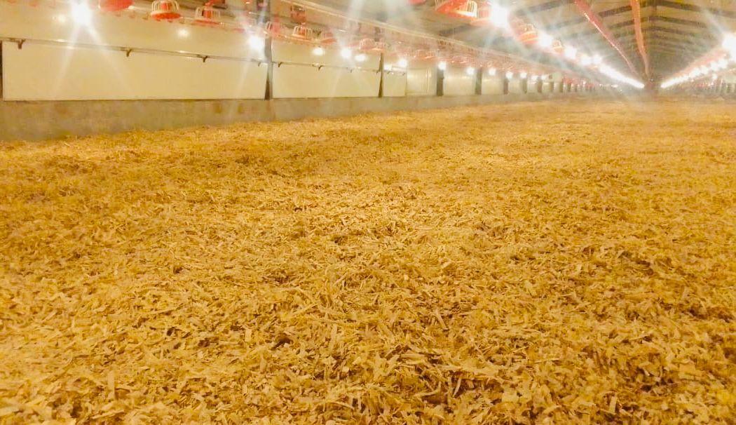 Kyle Distributors Facility 2
