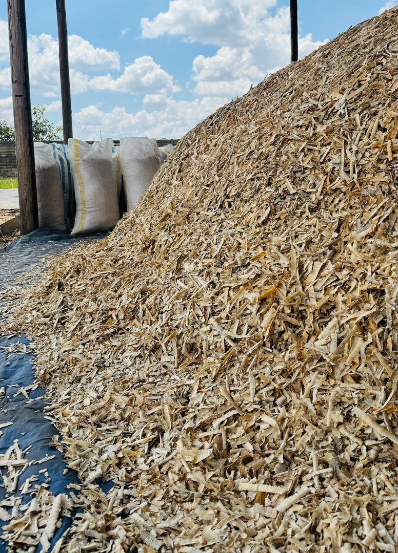 Massive pile of golden pine wood shavings ready for packaging